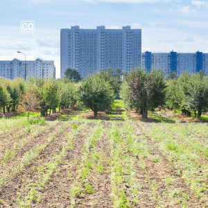  La urbanización: Osiedle (Hiszpański)