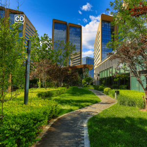  La zona verde: Zielona strefa (Hiszpański)