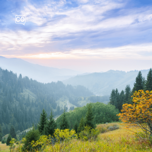  Forestal: leśny (Hiszpański)