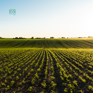  La agricultura: Rolnictwo (Hiszpański)